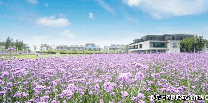 万科云之湾(万科云之湾)首页网站丨首付3万精装修2024楼盘详情(图4) 万科云之湾(万科云之湾)首页网站丨首付3万精装修2024楼盘详情(图4)