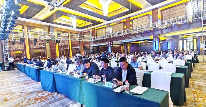 2024丰县楼梯展览会璀璨启幕聚焦“中国楼梯之都”新高度(图1) 2024丰县楼梯展览会璀璨启幕聚焦“中国楼梯之都”新高度(图1)