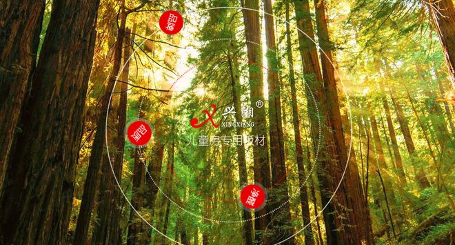 “中品榜”2024年度生态板十大品牌揭晓榜样力量引领行业新发展(图9) “中品榜”2024年度生态板十大品牌揭晓榜样力量引领行业新发展(图9)