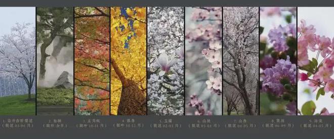北京万科东庐售楼处电话多少？官网售楼中心部详细地址在哪？(图8)