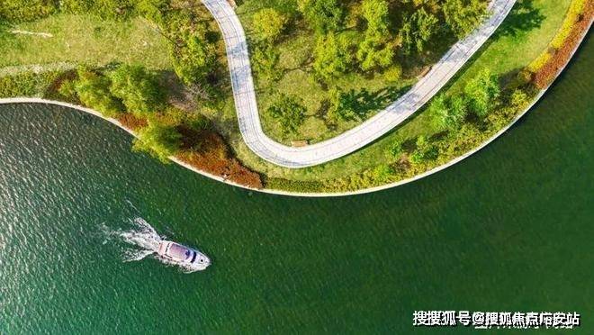 招商中旅揽阅2024官方网站-招商中旅揽阅官方楼盘详情-上海房天下(图23)