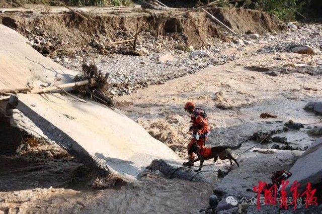 见天地见自己:中国青年报2024年度照片(图12) 见天地见自己:中国青年报2024年度照片(图12)