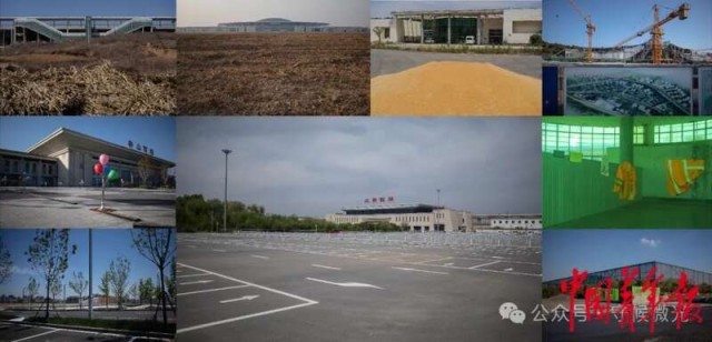 见天地见自己:中国青年报2024年度照片(图16) 见天地见自己:中国青年报2024年度照片(图16)