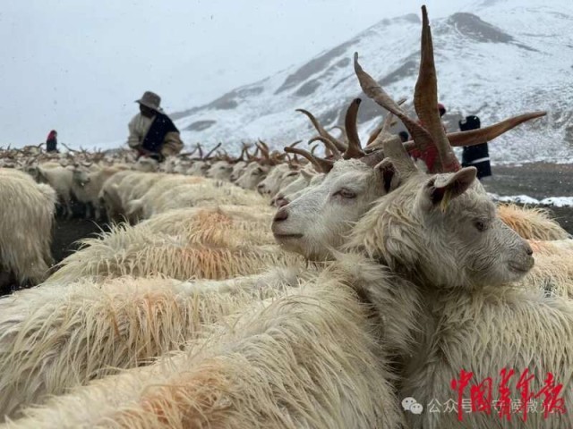 见天地见自己:中国青年报2024年度照片(图35) 见天地见自己:中国青年报2024年度照片(图35)