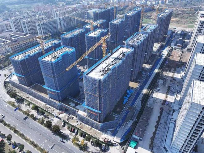 仙居2024年度亮点工作大盘点⑥ 县高铁新城开发指挥部(图10)