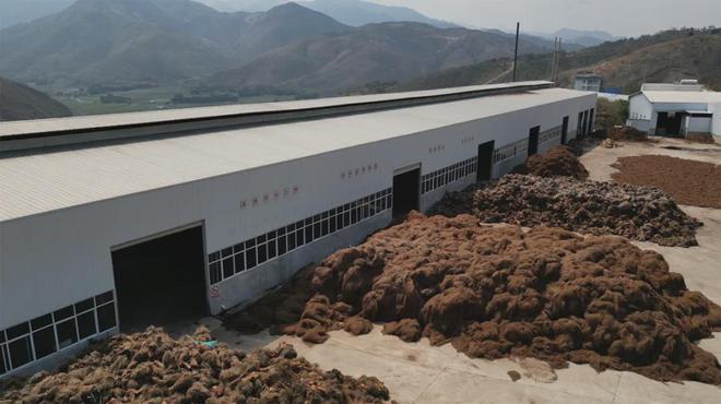 喜报！大自然床垫再获双奖彰显民族品牌乡村振兴担当(图4)